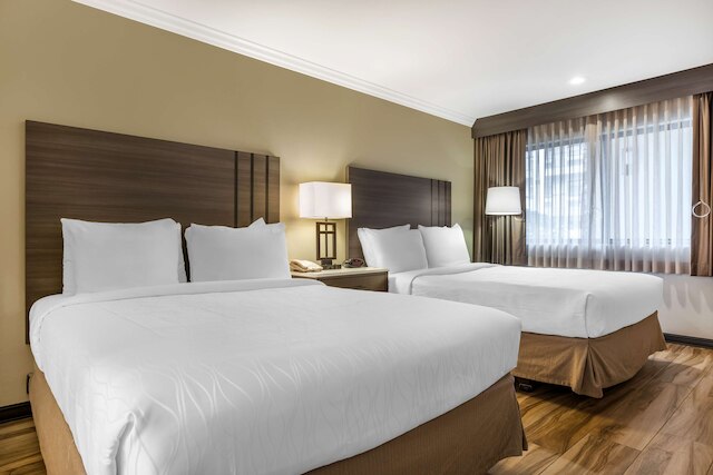 ベストウェスタン プラス オレンジ カウンティ エアポート ノース