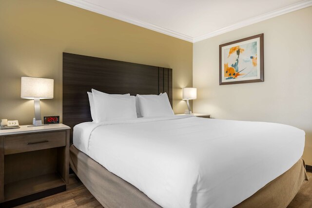 ベストウェスタン プラス オレンジ カウンティ エアポート ノース