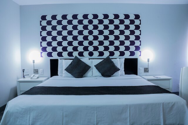 ホテル エル エヘクティボ バイ レフォルマ アベニュー