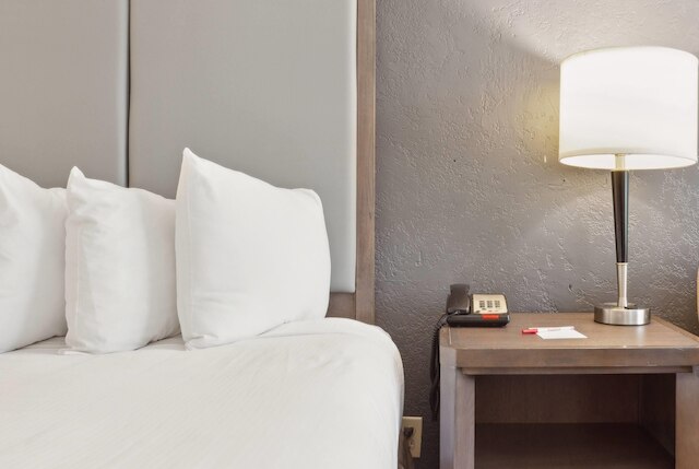 ラマダ バイ ウィンダム ホーマ