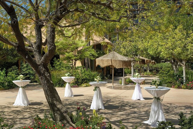 シェラトン パーク ホテル アット ジ アナハイム リゾート