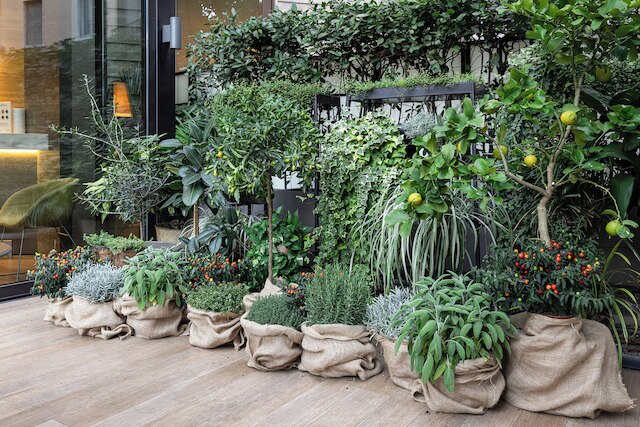 スターホテルズ E.c.ho.