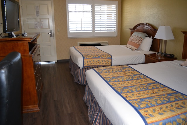 バレー イン サンノゼ