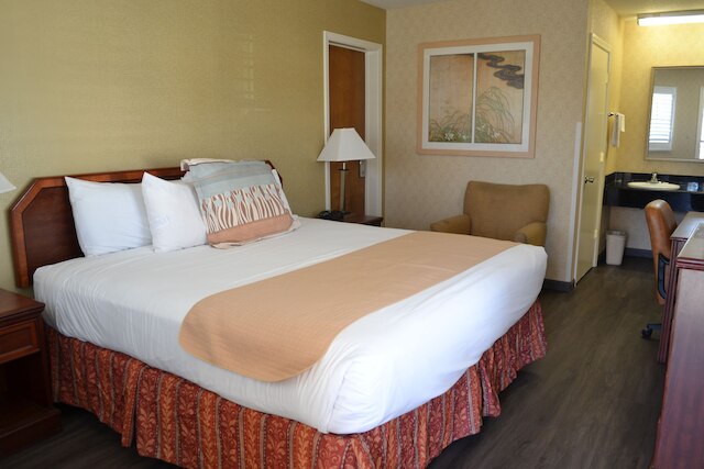 バレー イン サンノゼ