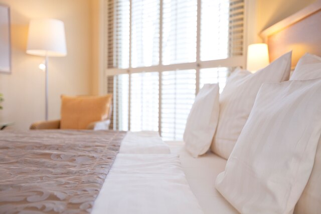 ベストウェスタン プレミア アルスタークルグ ホテル