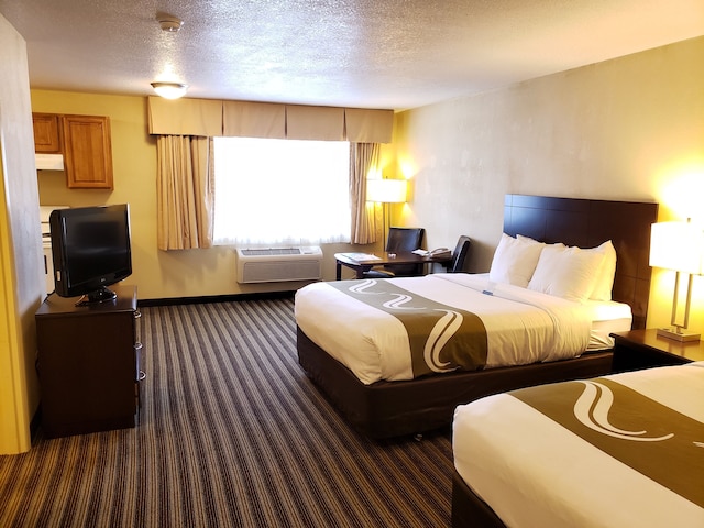 クオリティ イン & スイーツ バンクーバー - ヘーゼル デル