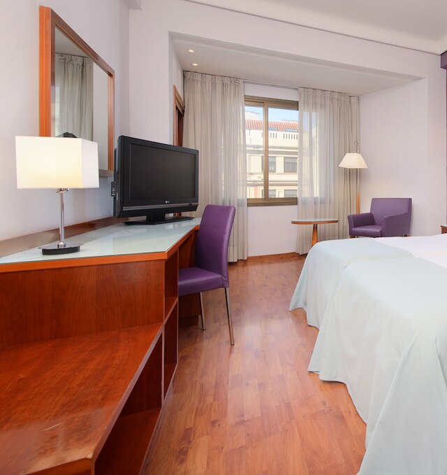 ホテル マドリード セントロ アフィリアテッド バイ メリア