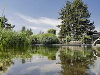 ノボテル ローザンヌ ビュッスィニー