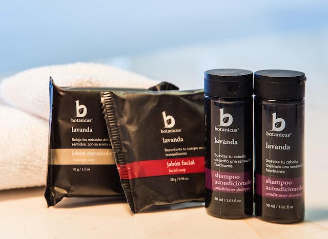 フィエスタ イン シウダッド デ メキシコ アエロプエルト