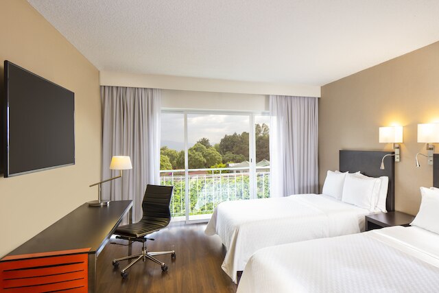 フィエスタ イン シウダッド デ メキシコ アエロプエルト