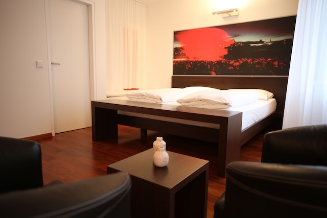 アルテ ホテル リンツ