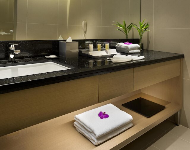 ザ サウジャナ ホテル クアラルンプール