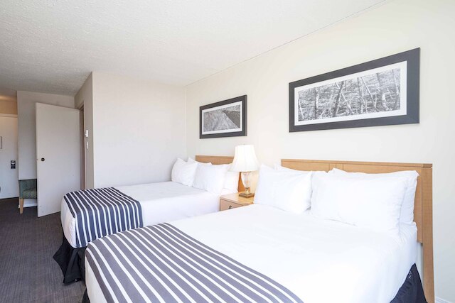 サンドマン イン マクブライド