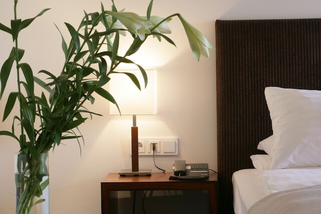 ホテル エルジーセライ ヨーロッパ