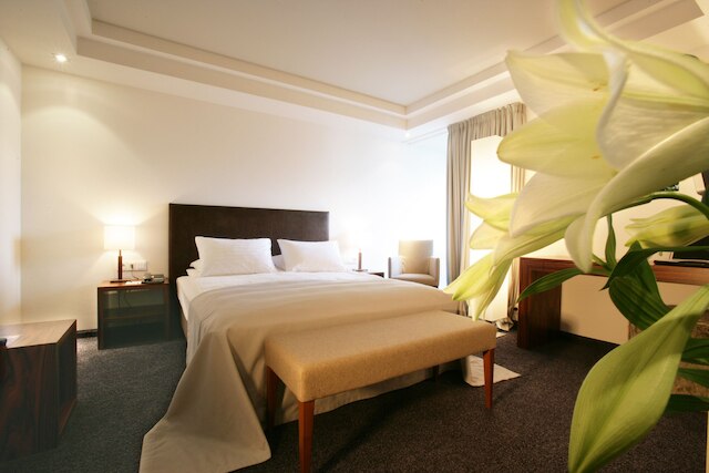 ホテル エルジーセライ ヨーロッパ