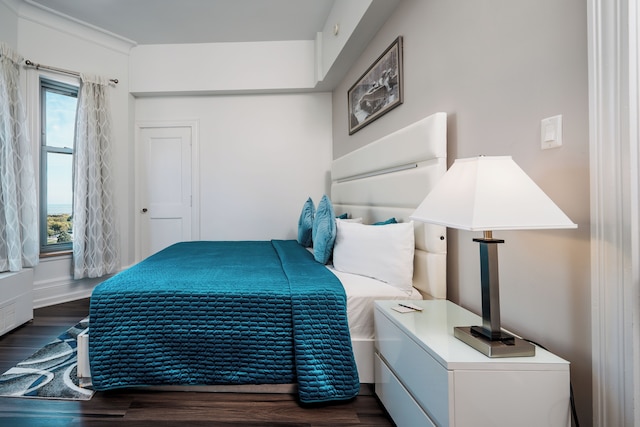 コングレス プラザ ホテル