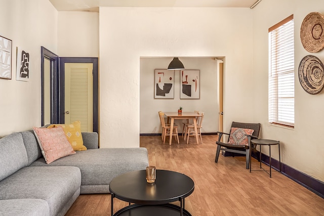 フリーハンド マイアミ