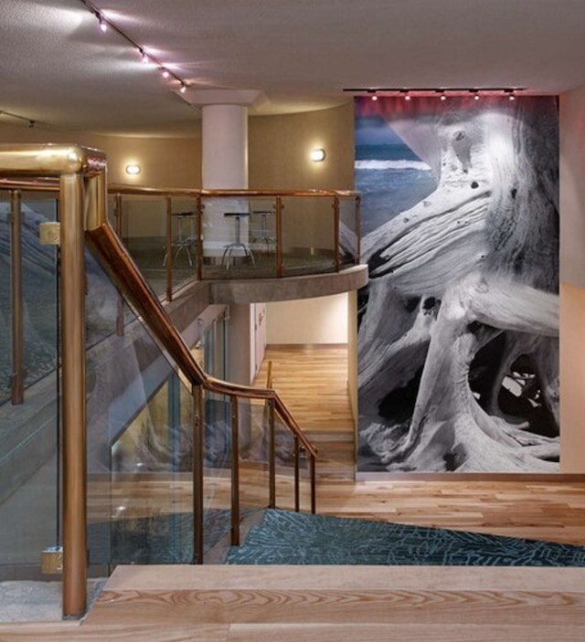 ラディソン ブル トロント ダウンタウン