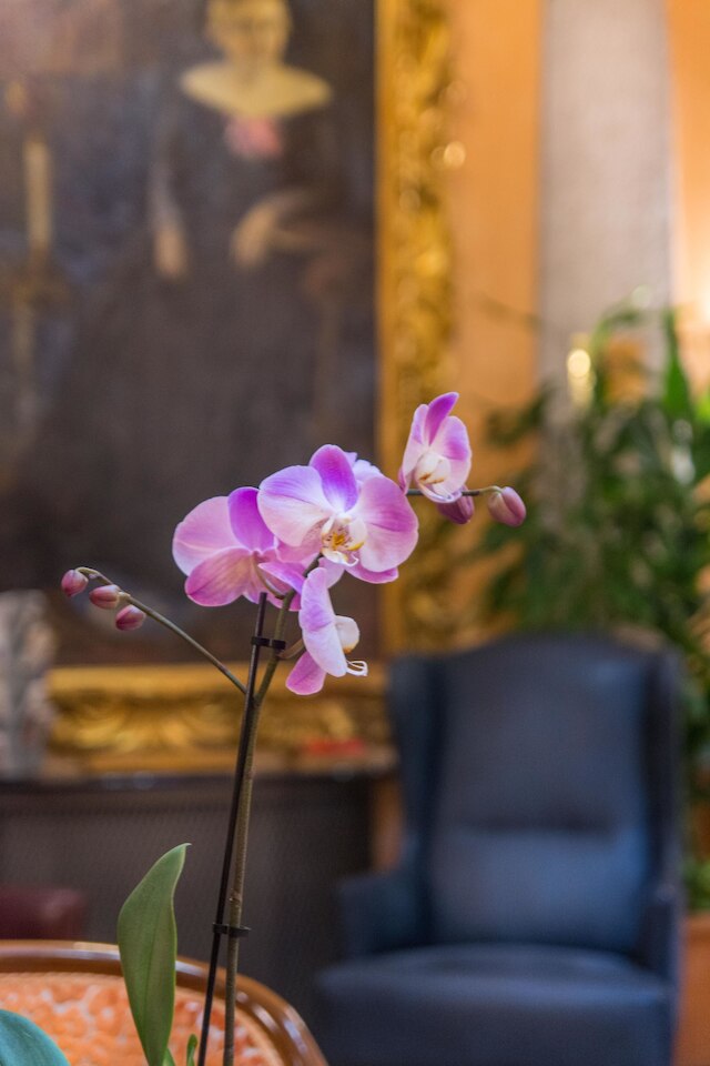 ホテル レジーナ