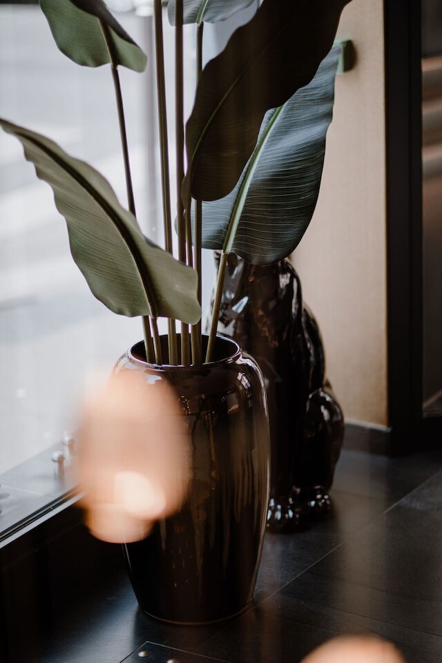 プリンス アルバート リヨン ベルシー