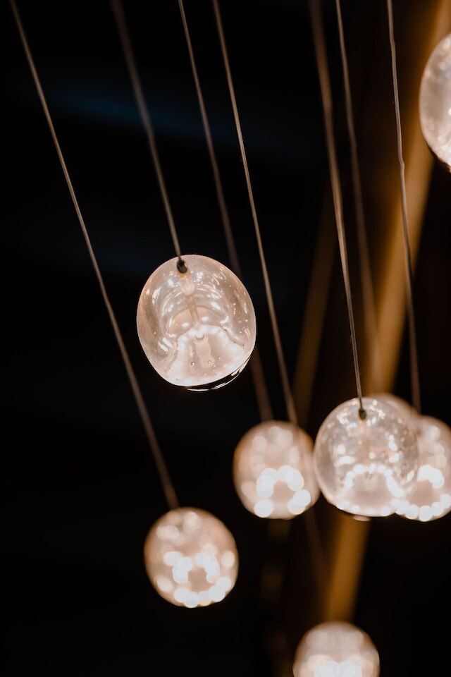 プリンス アルバート リヨン ベルシー