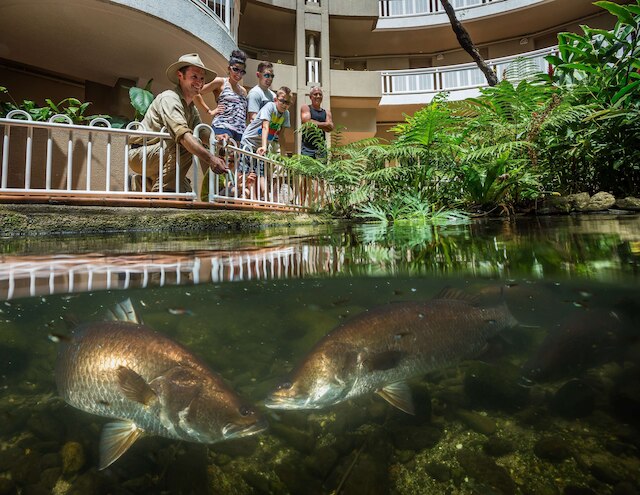ダブルツリー バイ ヒルトン ホテル ケアンズ