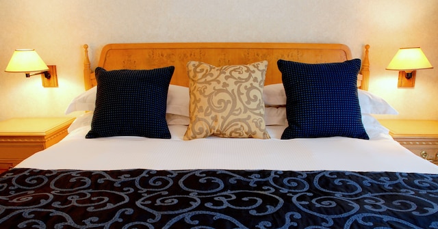 ミレニアム プラザ ダウンタウン  ホテル