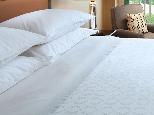 シェラトン サン ホセ ホテル