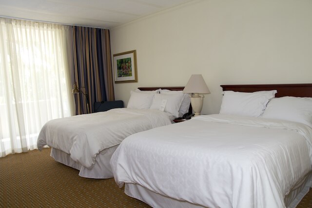 シェラトン プレジデンテ サン サルバドル ホテル