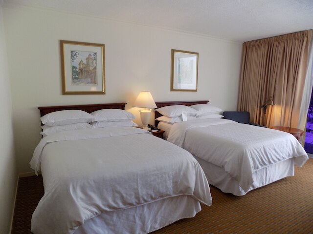 シェラトン プレジデンテ サン サルバドル ホテル