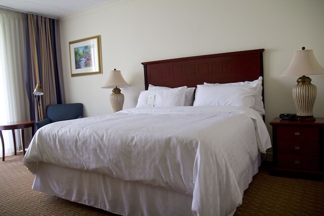 シェラトン プレジデンテ サン サルバドル ホテル