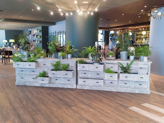 Hotel ibis Paris Bastille Opera 11ème