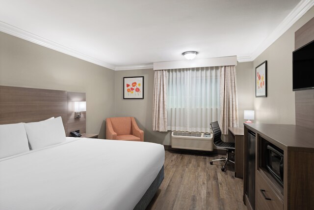 ソララ イン アンド スイーツ