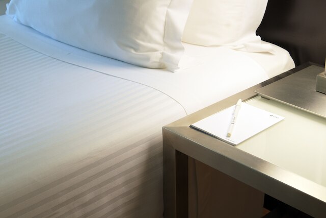 サナ キャピトル ホテル