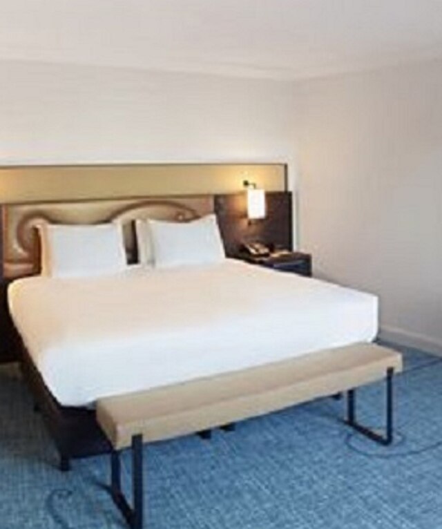 ヒルトン ブリュッセル グランド プレイス