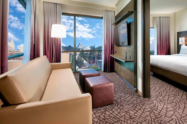 レジデンス・イン・アット・アナハイム・リゾート/コンベンションセンター