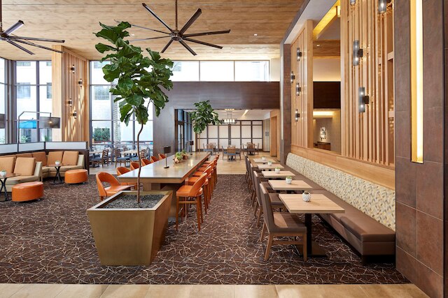 ホームウッド スイーツ・バイ・ヒルトン サンディエゴ ホテル サークル / シー ワールド エリア