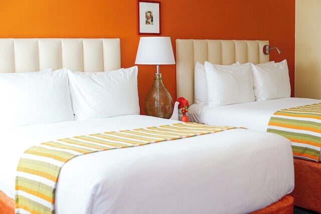 ホテル デル ソル