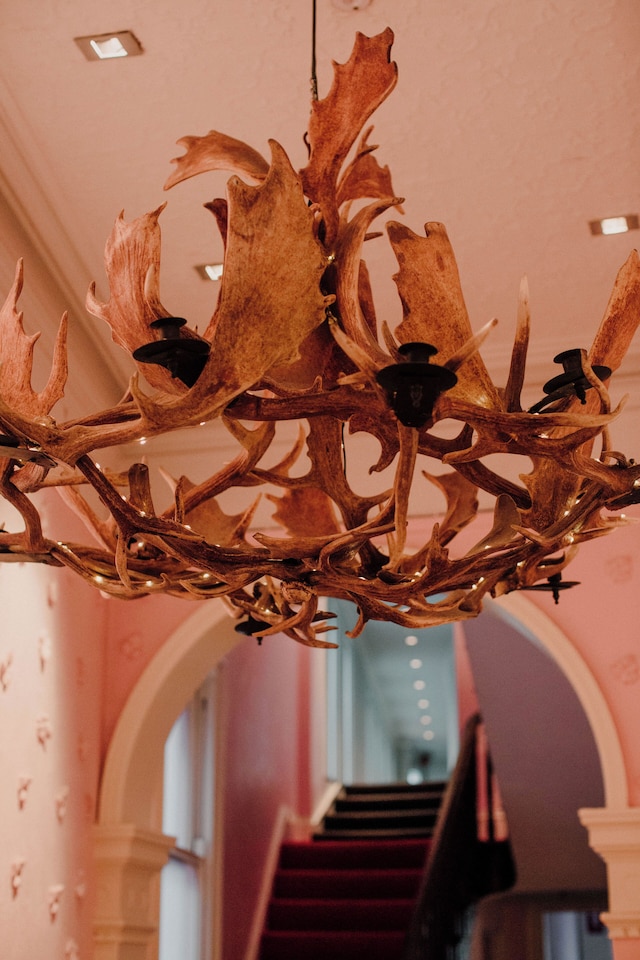 メドゥサ ブティック ホテル