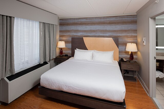 ホテル トリロジー アルバニー エアポート、タペストリー コレクション バイ ヒルトン