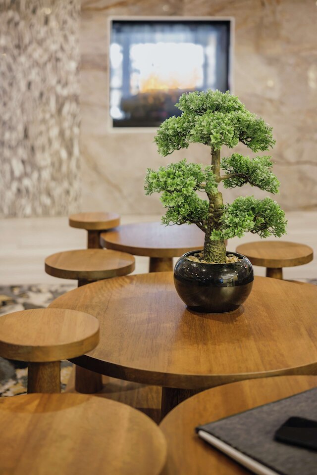 ホテル トリロジー アルバニー エアポート、タペストリー コレクション バイ ヒルトン