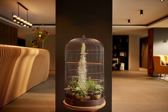 パーク プラザ ボンデルパーク.