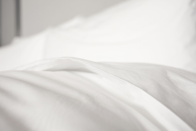 ルメリディアン ドバイ ホテル & カンファレンス センター