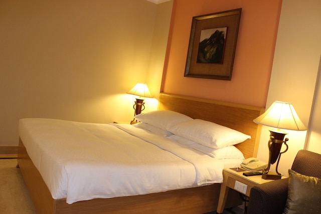 ザ ハンス ホテル ニューデリー