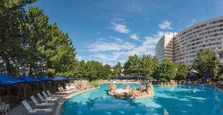 ヒルトン 東京ベイ