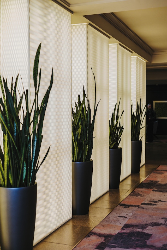 インターコンチネンタル モントリオール by IHG