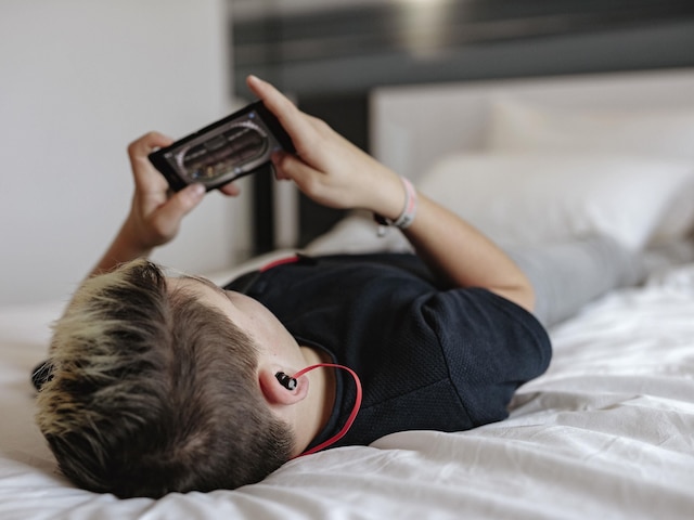 イビス ベルリン シティ ノルド