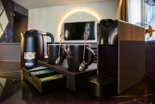 ホテル アム コンツェルトハウス - Mギャラリー コレクション