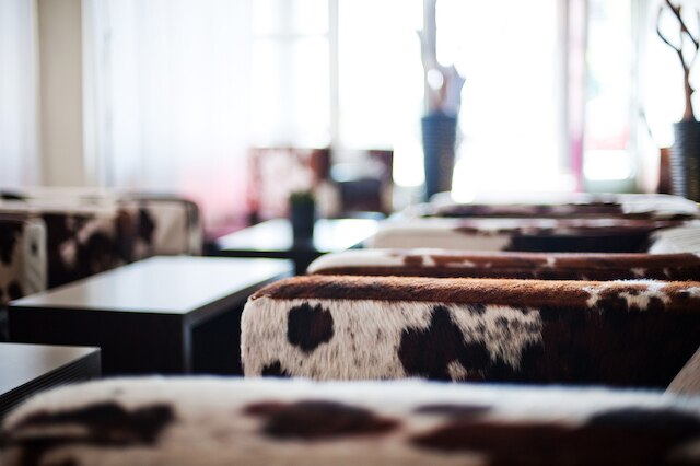 ブリストル ホテル フランクフルト