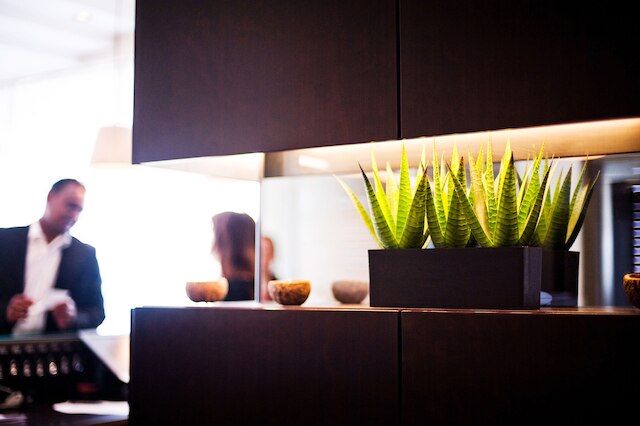 ブリストル ホテル フランクフルト